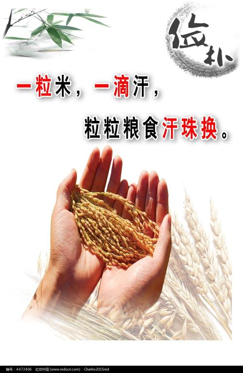 老挝ID真实样板